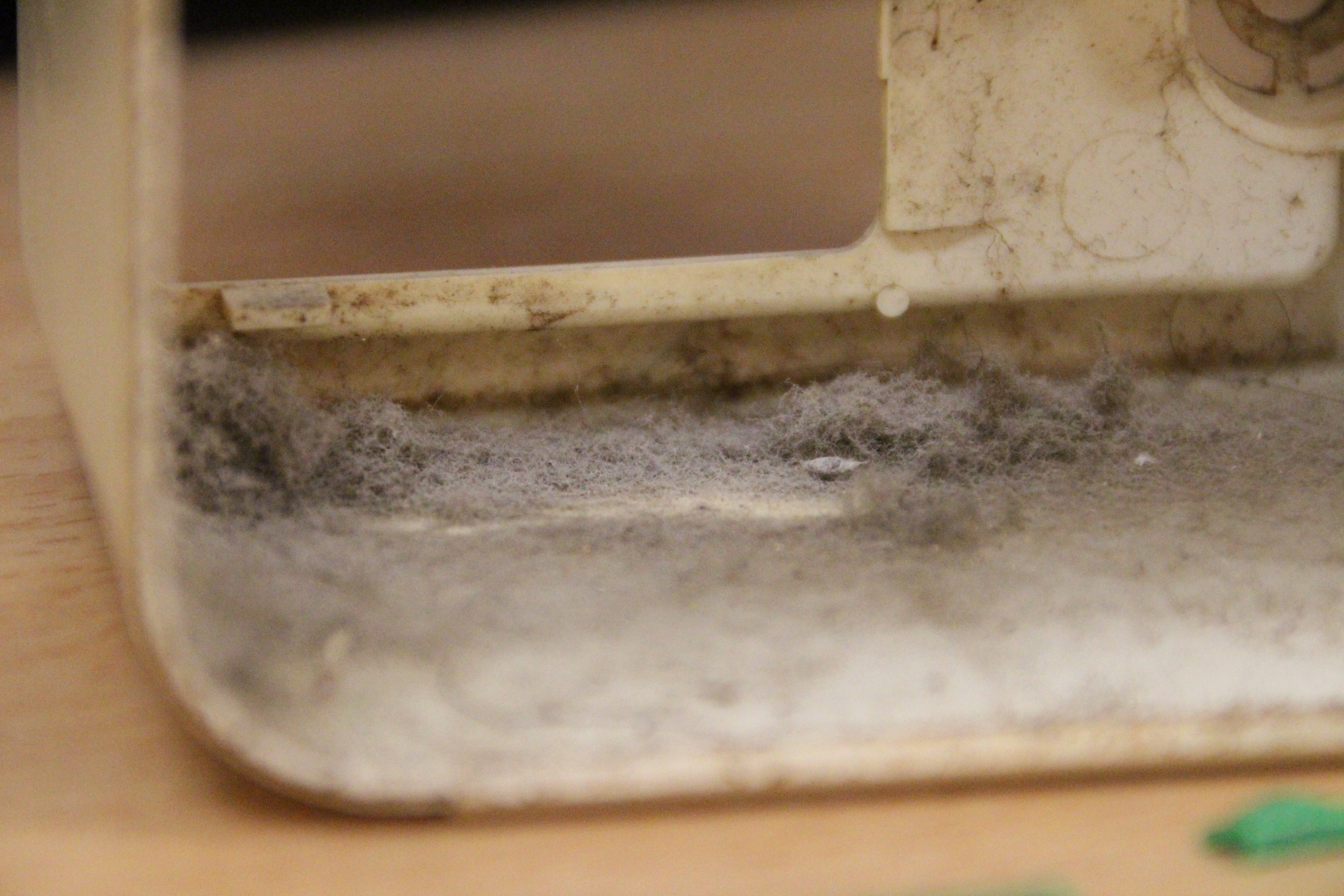 內部的陳年灰塵