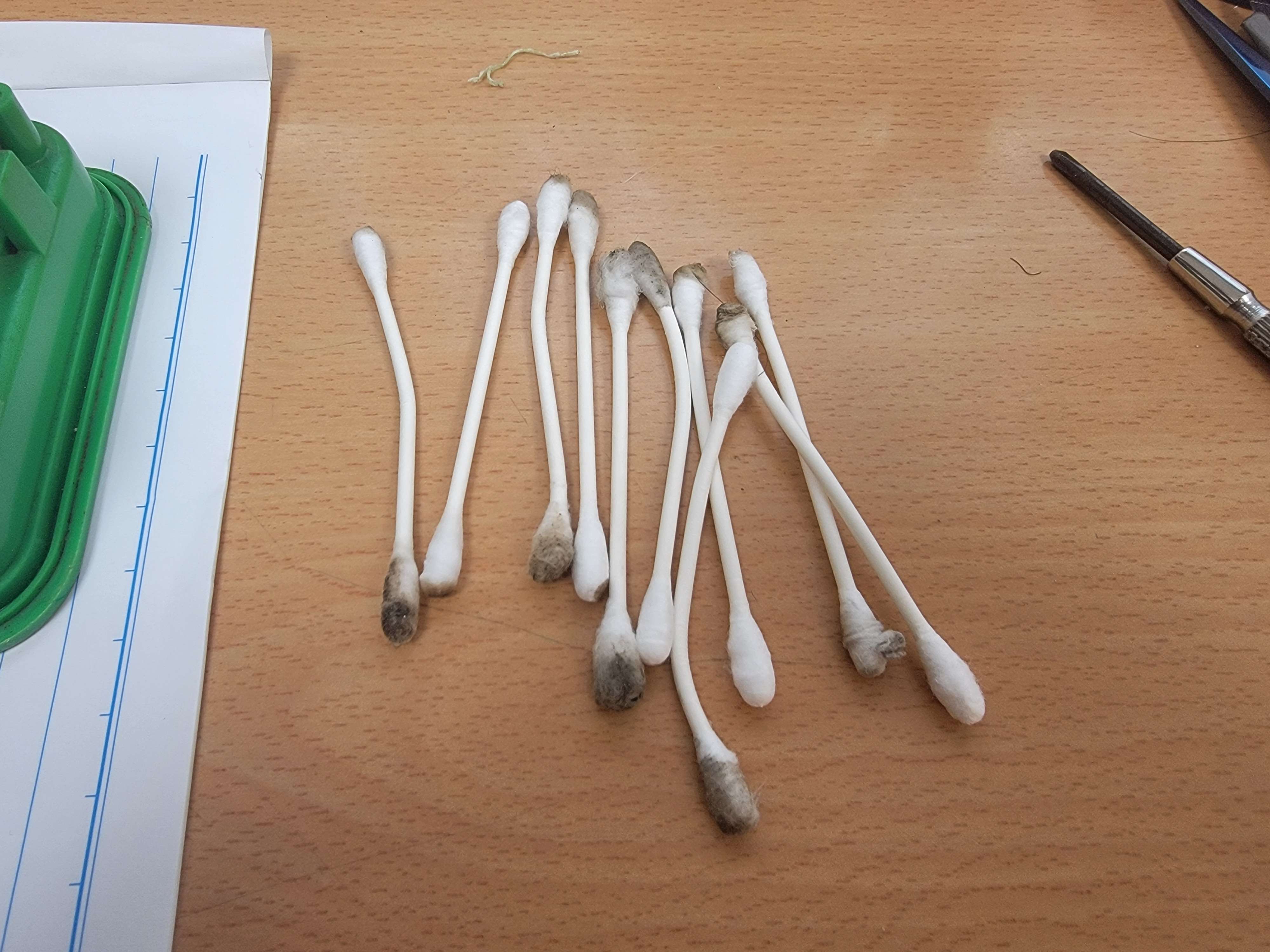 鐘面與機芯部分超髒